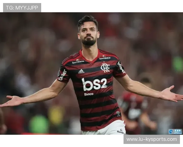 弗拉门戈防守稳固表现出色，弗拉门戈ds